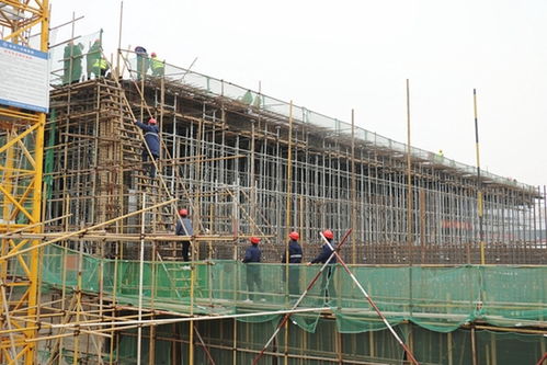 跑出加速度 河南省重點工程南曹污水處理廠箱體首塊頂棚封頂，建筑智能化工程同步推進